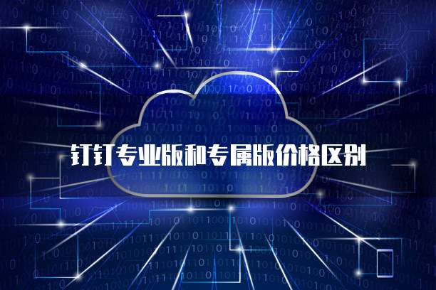 钉钉专业版和专属版价格区别