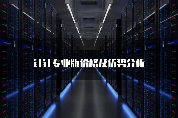 钉钉专业版价格及优势分析