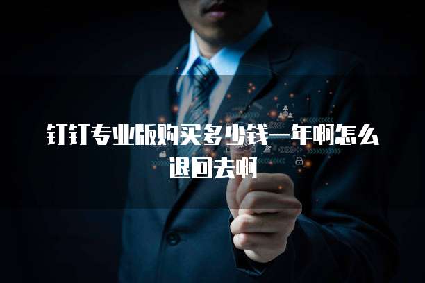 钉钉专业版购买多少钱一年啊怎么退回去啊