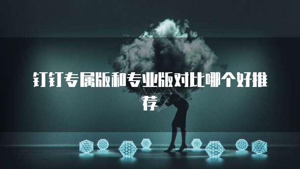 钉钉专属版和专业版对比哪个好推荐