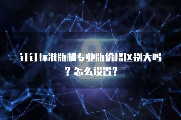 钉钉标准版和专业版价格区别大吗？怎么设置？