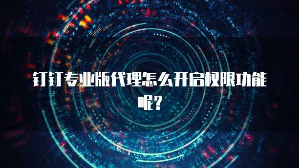钉钉专业版代理怎么开启权限功能呢?