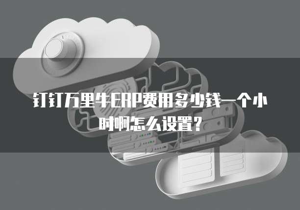 钉钉万里牛ERP费用多少钱一个小时啊怎么设置?