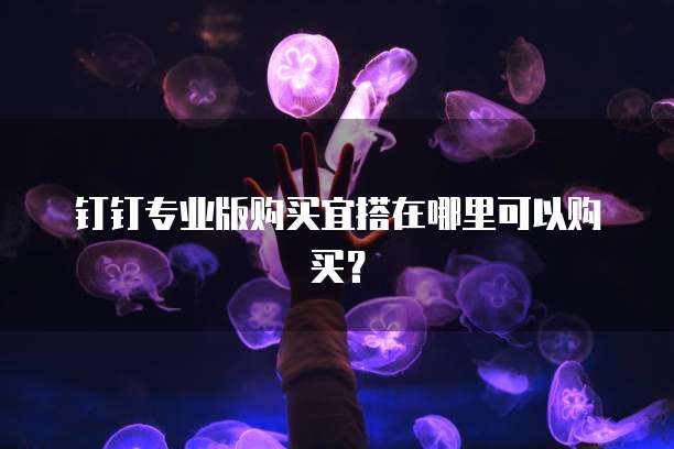 钉钉专业版购买宜搭在哪里可以购买？