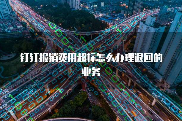 钉钉报销费用超标怎么办理退回的业务