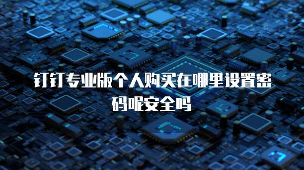 钉钉专业版个人购买在哪里设置密码呢安全吗