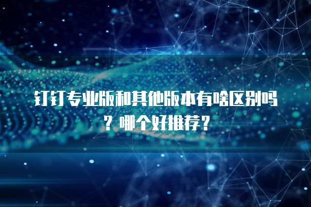 钉钉专业版和其他版本有啥区别吗?哪个好推荐?