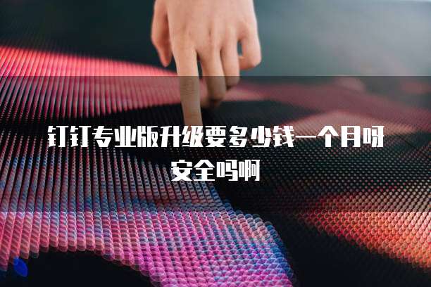 钉钉专业版升级要多少钱一个月呀安全吗啊