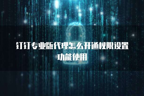 钉钉专业版代理怎么开通权限设置功能使用