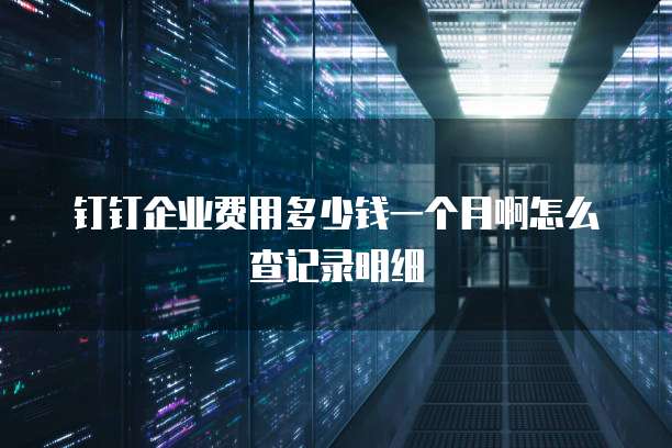 钉钉企业费用多少钱一个月啊怎么查记录明细