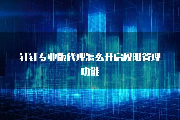 钉钉专业版代理怎么开启权限管理功能