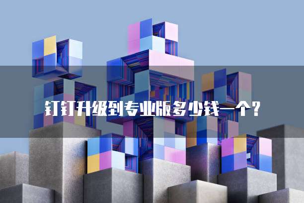 钉钉升级到专业版多少钱一个?