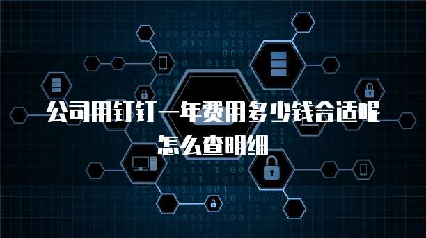 公司用钉钉一年费用多少钱合适呢怎么查明细