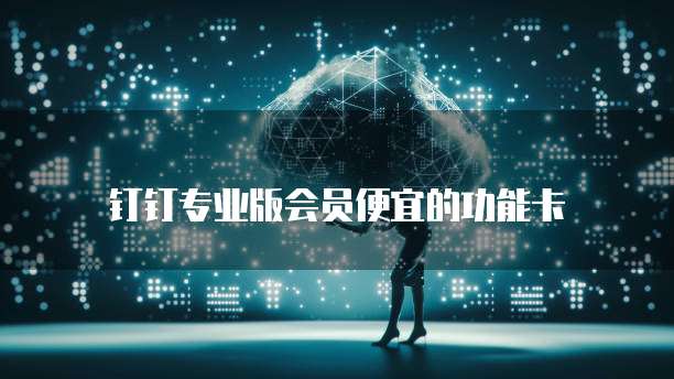 钉钉专业版会员便宜的功能卡