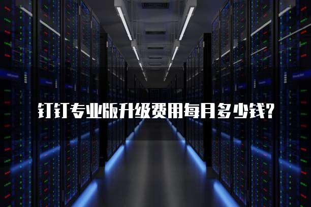 钉钉专业版升级费用每月多少钱?