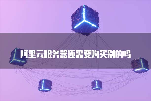 阿里云服务器还需要购买别的吗