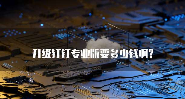 升级钉钉专业版要多少钱啊?