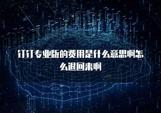 钉钉专业版的费用是什么意思啊怎么退回来啊