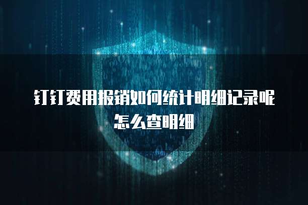 钉钉费用报销如何统计明细记录呢怎么查明细
