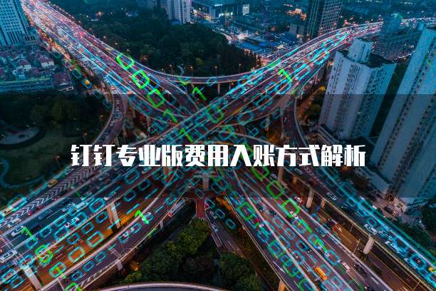 钉钉专业版费用入账方式解析