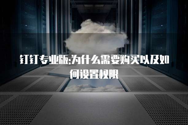 钉钉专业版:为什么需要购买以及如何设置权限