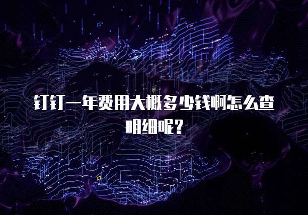 钉钉一年费用大概多少钱啊怎么查明细呢?
