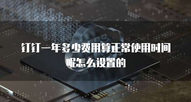 钉钉一年多少费用算正常使用时间呢怎么设置的