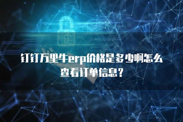 钉钉万里牛erp价格是多少啊怎么查看订单信息?