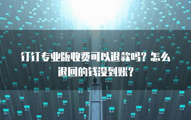 钉钉专业版收费可以退款吗?怎么退回的钱没到账?