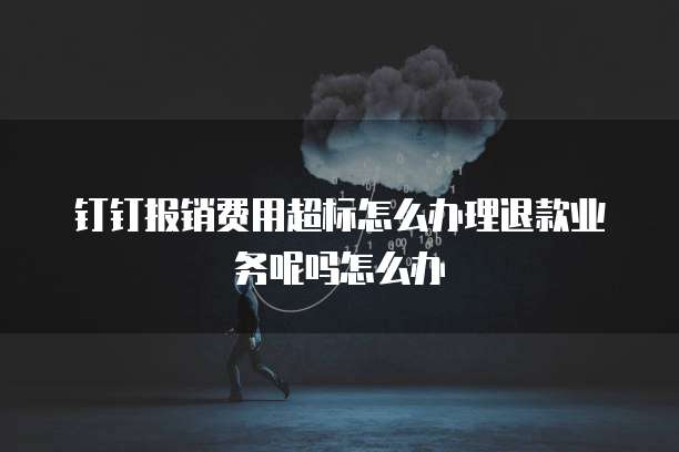 钉钉报销费用超标怎么办理退款业务呢吗怎么办