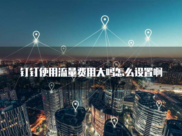 钉钉使用流量费用大吗怎么设置啊