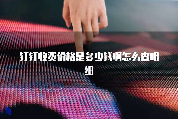 钉钉收费价格是多少钱啊怎么查明细