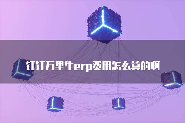 钉钉万里牛erp费用怎么算的啊