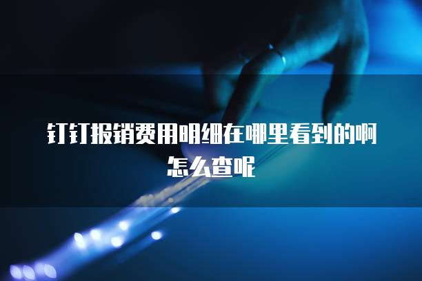 钉钉报销费用明细在哪里看到的啊怎么查呢