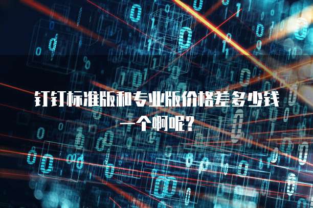 钉钉标准版和专业版价格差多少钱一个啊呢?