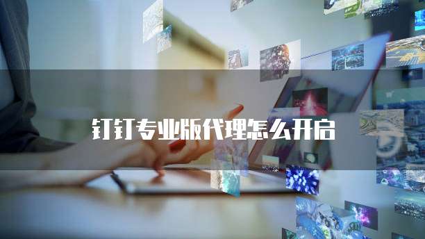 钉钉专业版代理怎么开启