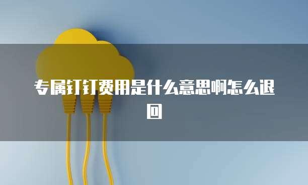 专属钉钉费用是什么意思啊怎么退回
