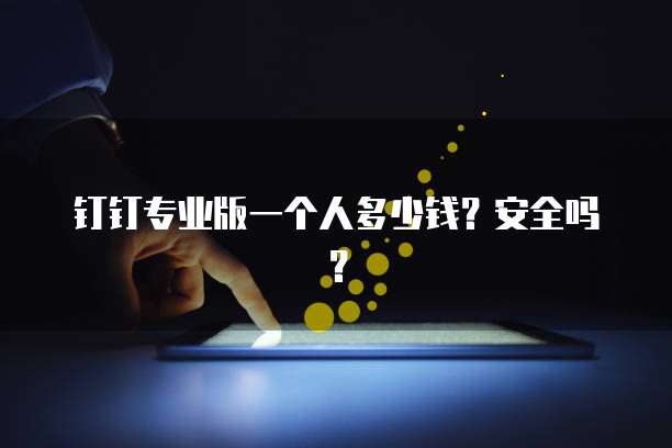 钉钉专业版一个人多少钱?安全吗?