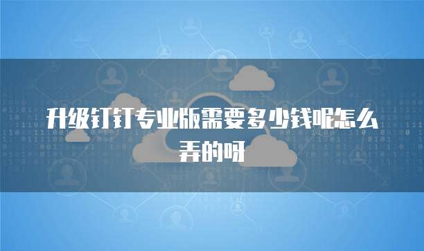 升级钉钉专业版需要多少钱呢怎么弄的呀
