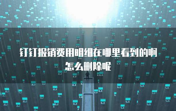 钉钉报销费用明细在哪里看到的啊怎么删除呢