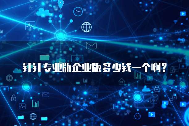 钉钉专业版企业版多少钱一个啊?