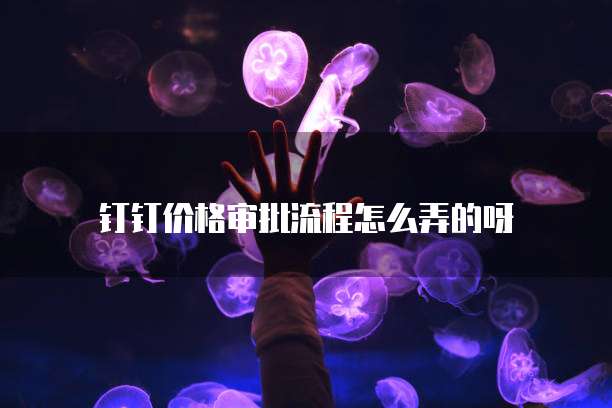钉钉价格审批流程怎么弄的呀