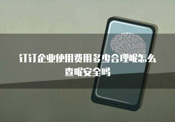 钉钉企业使用费用多少合理呢怎么查呢安全吗