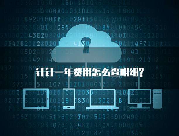 钉钉一年费用怎么查明细?
