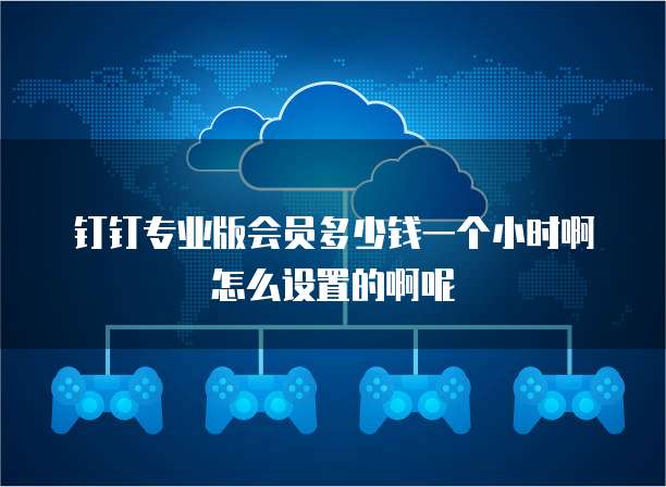 钉钉专业版会员多少钱一个小时啊怎么设置的啊呢