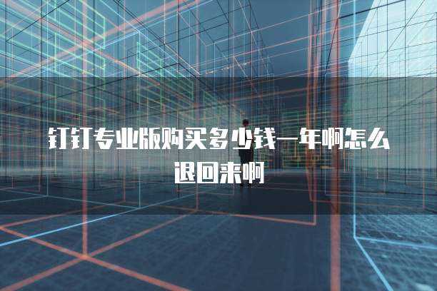 钉钉专业版购买多少钱一年啊怎么退回来啊
