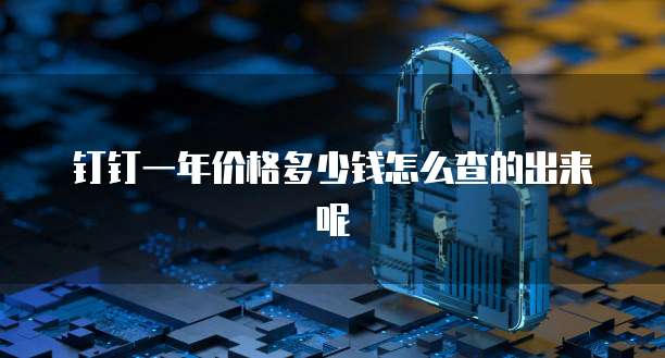 钉钉一年价格多少钱怎么查的出来呢