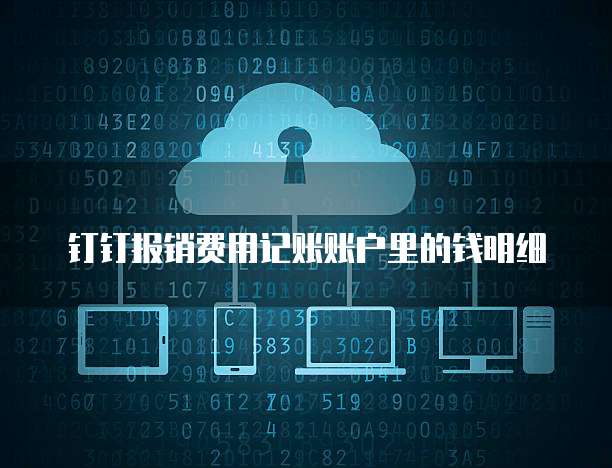 钉钉报销费用记账账户里的钱明细