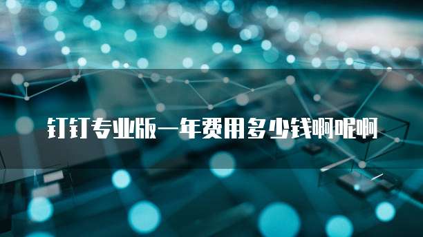 钉钉专业版一年费用多少钱啊呢啊
