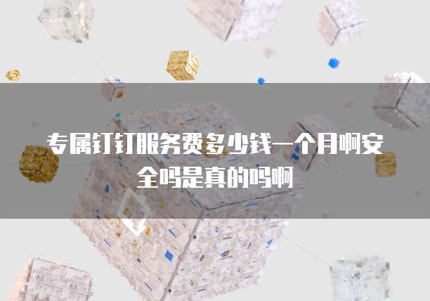 专属钉钉服务费多少钱一个月啊安全吗是真的吗啊